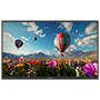 Interaktiv monitor 65" - Opløsning 4K - Android 14 - EDLA certificering - 8 GB RAM og 128 GB ROM
