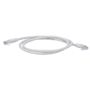 Safire UTP kabel - Category 6 - OFC leder, 99,9% kobber renhed - Ethernet - RJ45 stik - 1 m