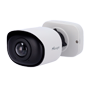 IP-kamera 5 Mpx panoramisk 180º - 1/2.8" Progressive Scan CMOS - Objektiv 1.68mm@ F2.0 - IR-belysning op til 15m - WEB, CMS Software, smartphone og NVR - ONVIF kompatibel | Metadata